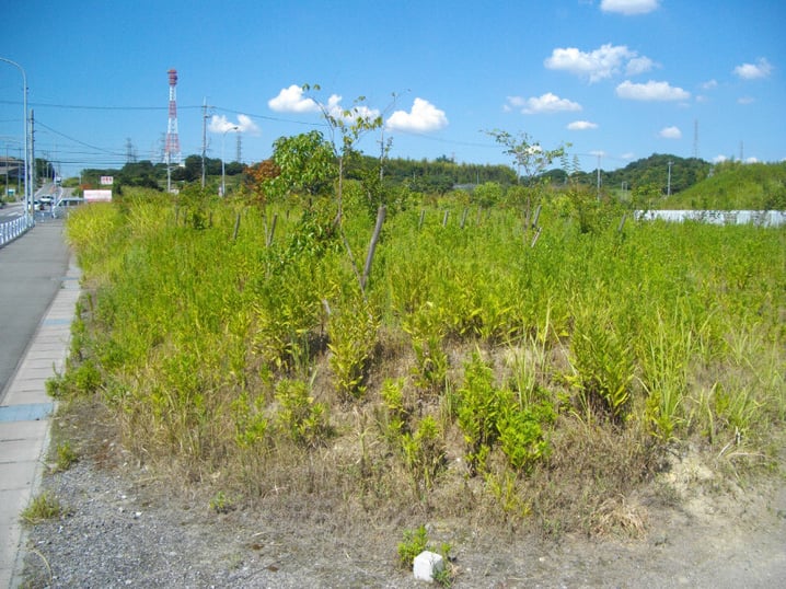 草刈工（東浦町）施工前