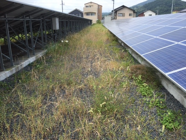 防草シート施工施工前