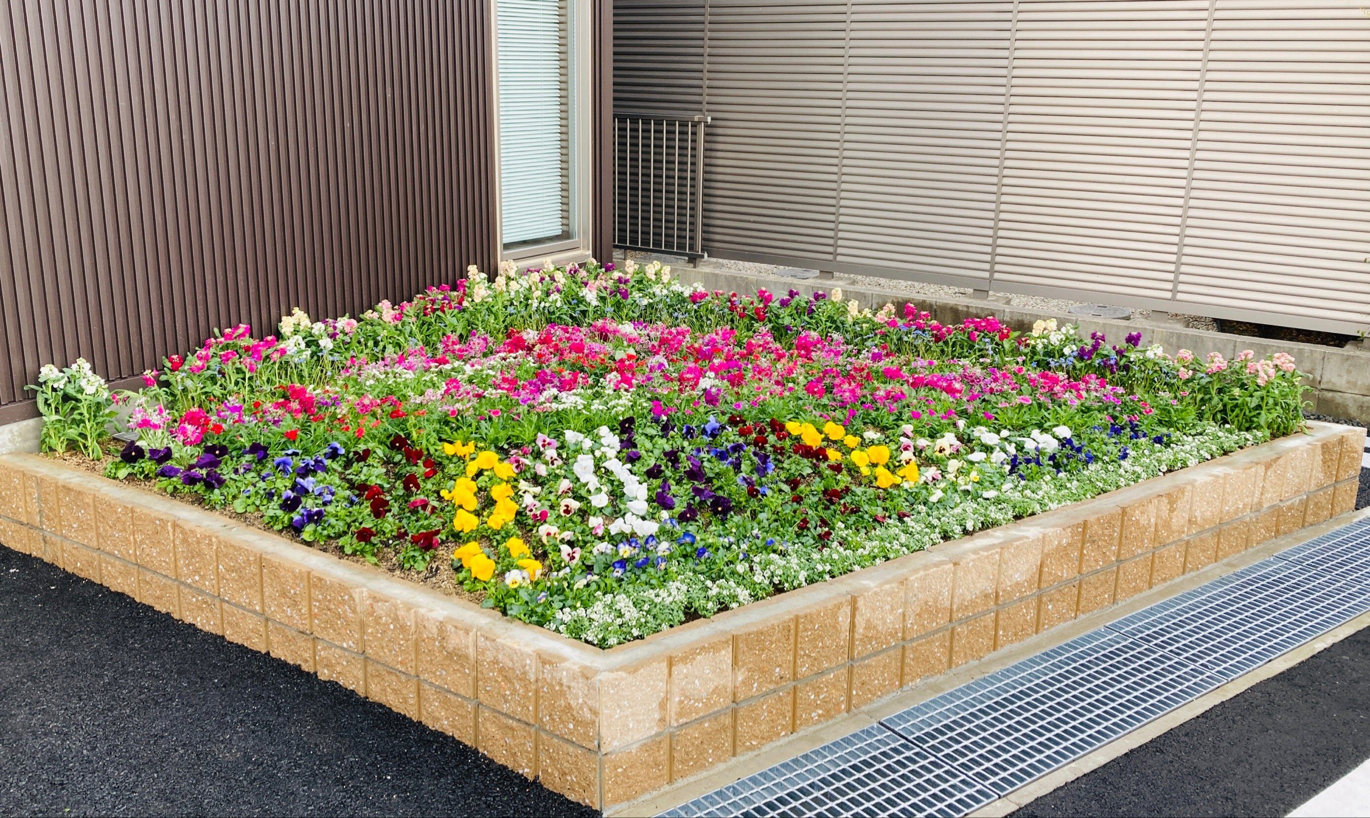 20220125_GSC花壇写真.jpg